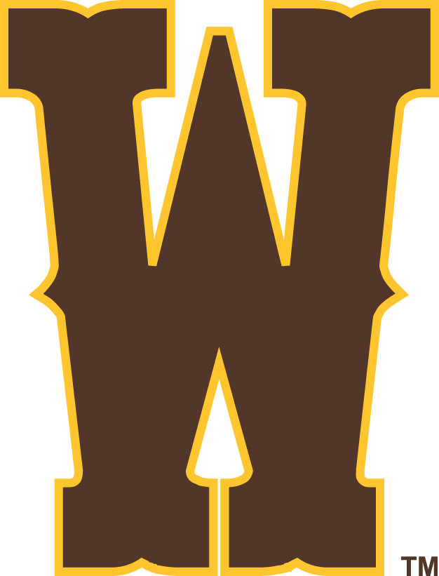 Wyoming Cowboys 2013-Pres Secondary Logo iron on transfers for clothing